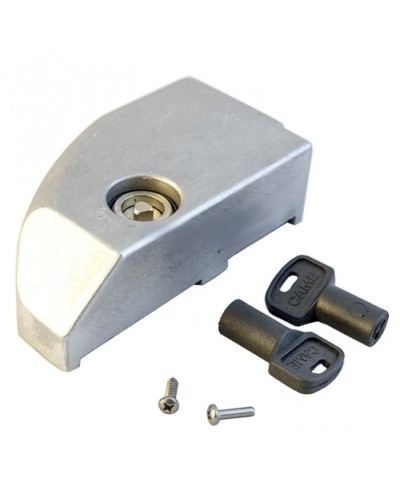 Дверца замка разблокировки BK Came 119RIBK012 в Москве Запчасти для шлагбаумов и автоматики Pintop.ru