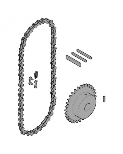 Передающая система (цепь и звездочки) C005 Came 119RICX016 в Москве Запчасти для шлагбаумов и автоматики Pintop.ru