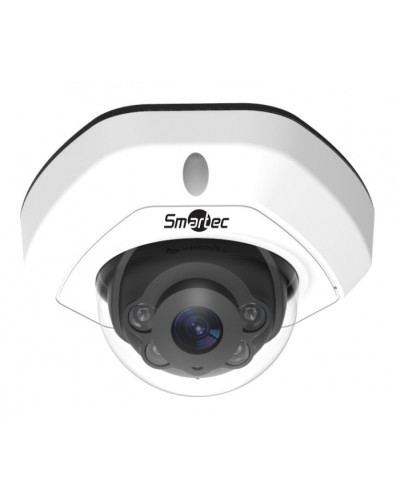 IP-камера видеонаблюдения уличная купольная Smartec STC-IPM3540/1 в Москве IP-камеры Pintop.ru