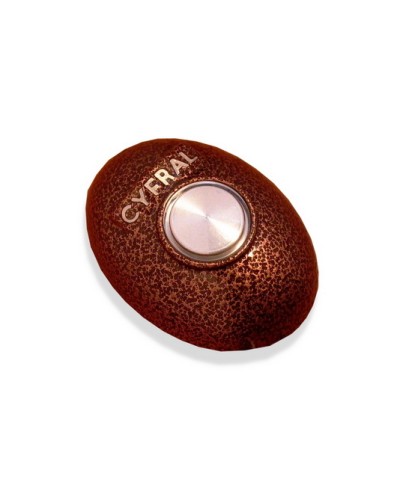 Кнопка открывания двери Цифрал КОДсП-4 в Москве Многоабонентные устройства Pintop.ru