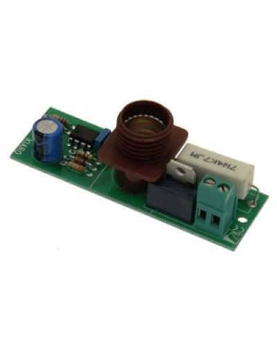 Плата лампы KIARO 24 Came 119RIR030 в Москве Запчасти для шлагбаумов и автоматики Pintop.ru