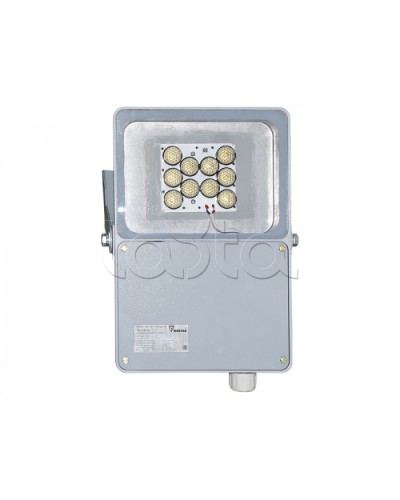 Прожектор светодиодный Forteza ФОСФОР-40/60-А (металл) в Москве Аксессуары для средств охраны периметра Pintop.ru