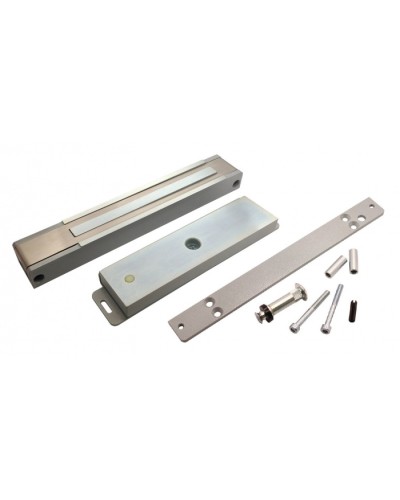 Электромагнитный замок пожаробезопасный влагозащищённый ALeko ALM-300FR (12В) в Москве Электромагнитные замки Pintop.ru