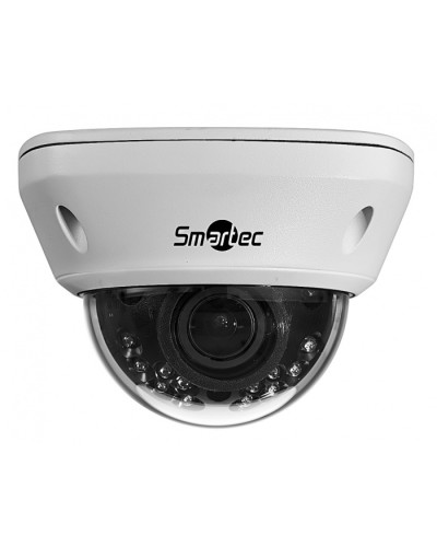 IP-камера видеонаблюдения купольная Smartec STC-IPM5591/1 в Москве IP-камеры Pintop.ru