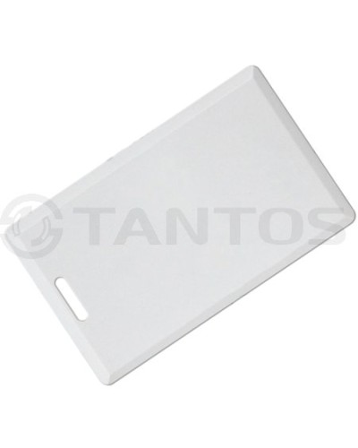 Карта толстая формата Temic Tantos Temic (толстая) TS в Москве Оптовые идентификаторы Pintop.ru