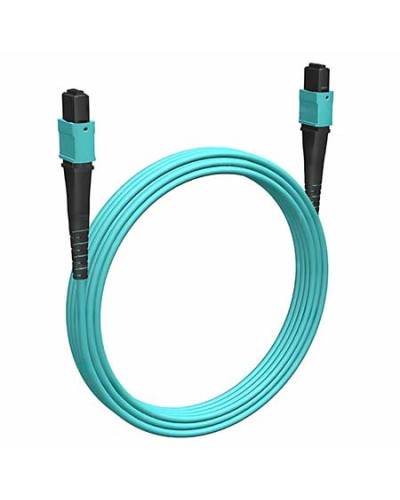 Кабельная сборка MPO(F) -MPO(F)-12 волокон 50/125 OM3, 1 m Cabeus (FOP-50-OM3-12-MPO(F)-12-MPO(F)-B-1m) в Москве Кабельные сборки (оптические) Pintop.ru