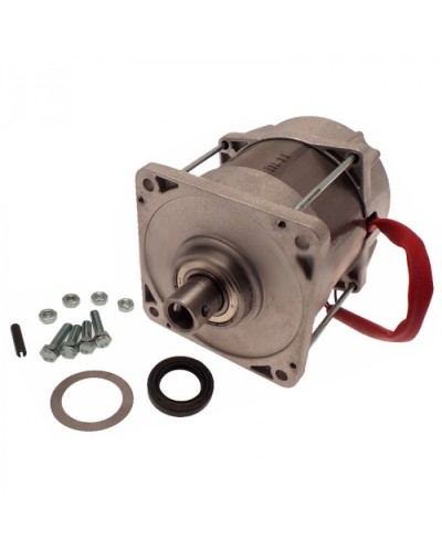 Электродвигатель FERNI Came 119RID087 в Москве Запчасти для шлагбаумов и автоматики Pintop.ru