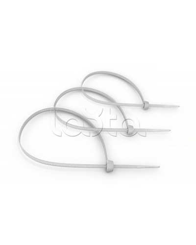 Стяжка нейлоновая неоткрывающаяся, безгалогенная (halogen free) 100x2.5мм, (100 шт) Cabeus CT-100 в Москве Аксессуары для кабель-канала Pintop.ru