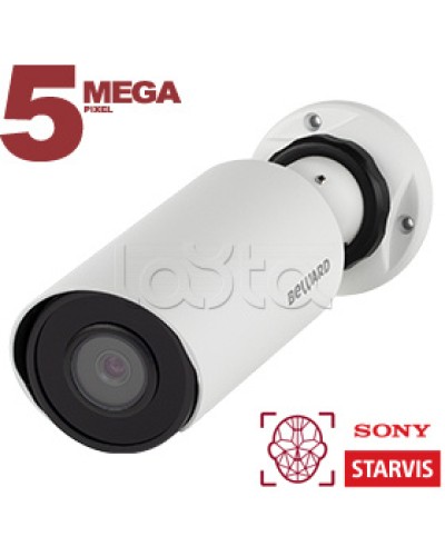 IP-камера видеонаблюдения в стандартном исполнении Beward SV3218R2 2.8 в Москве IP-камеры Pintop.ru