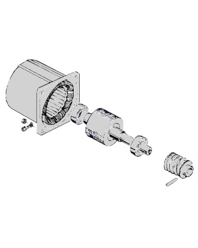 Электродвигатель С-100 Came 119RIC052 в Москве Запчасти для шлагбаумов и автоматики Pintop.ru