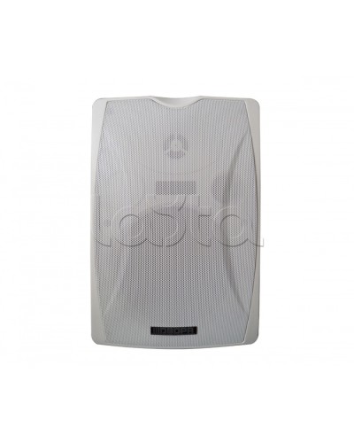 IP-громкоговоритель DSPPA POE-6463W в Москве Система оповещения и трансляции Dsppa Pintop.ru