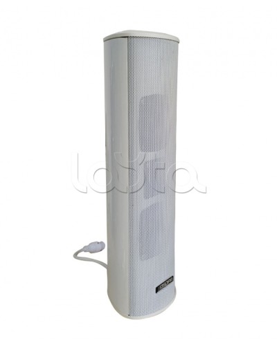 Громкоговоритель DSPPA POE-255 в Москве Система оповещения и трансляции Dsppa Pintop.ru