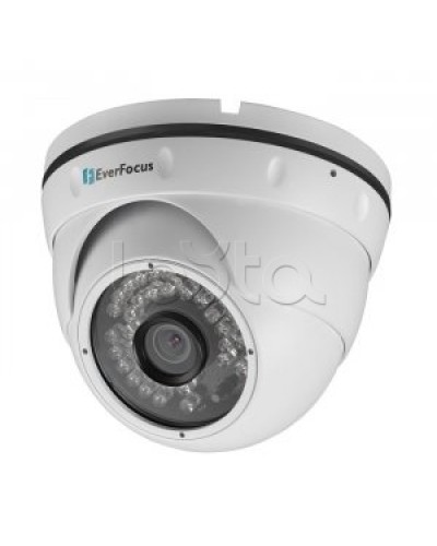 IP-камера видеонаблюдения купольная EverFocus ACE-IAV30 в Москве IP-камеры Pintop.ru