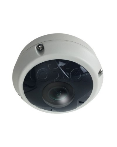 IP-камера видеонаблюдения купольная EverFocus ACE-KU89F в Москве IP-камеры Pintop.ru