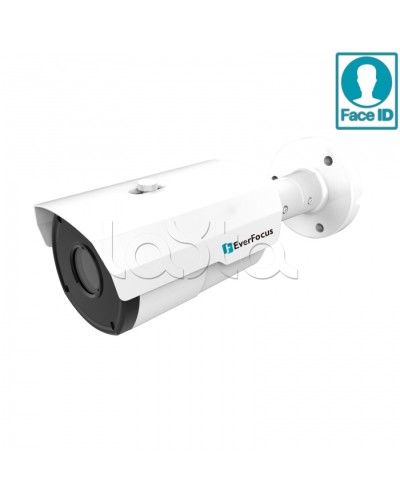 IP-камера видеонаблюдения в стандартном исполнении EverFocus EZN-2850 в Москве IP-камеры Pintop.ru