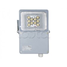 Прожектор светодиодный Forteza ФОСФОР-40/10-А (металл)