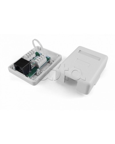 Розетка компьютерная RJ-45(8P8C) Hyperline SB1-2-8P8C-C6-SH-WH в Москве Розетки компьютерные и телефонные Pintop.ru