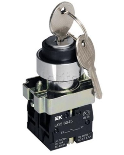 Переключатель LAY5-BG45 на 2 положения с ключом без фиксации IEK BSW80-BG-2-K02 в Москве Аксессуары для стоек и шкафов Pintop.ru