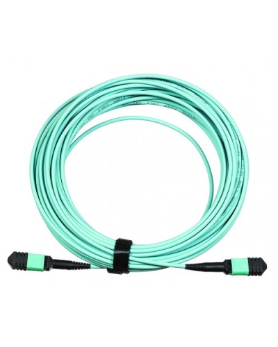 Сборка кабельная LANMASTER (LAN-12M-12M/OM3B-5.0) в Москве Коннекторы Pintop.ru