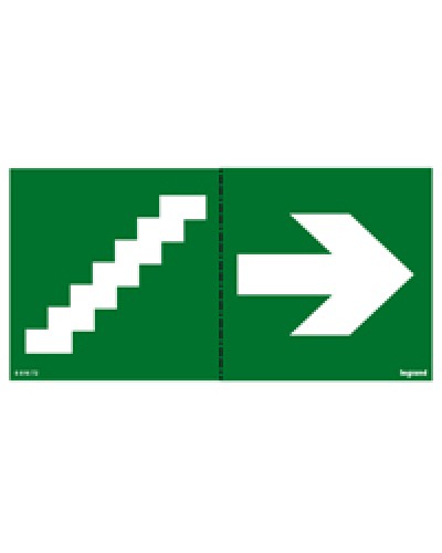 Пиктограмма 100х200 лестница стрелка Legrand 661672 в Москве Дополнительное оборудование для ОПС Pintop.ru