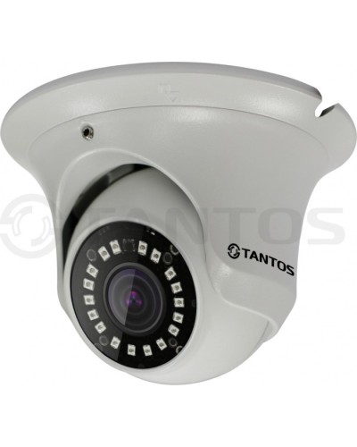 IP-камера видеонаблюдения купольная Tantos TSi-Ee25FP (2.8) в Москве IP-камеры Pintop.ru