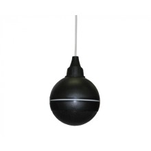 Оповещатели речевые охранно-пожарные ТРОМБОН ГЛАГОЛ-ПШ-10 (чёрный)