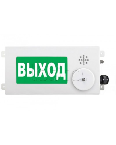 Табло световое взрывозащищенное Спектрон ТСВ-Exm-М-Прометей-МИНИ 220В в Москве Оповещатели Ex Pintop.ru