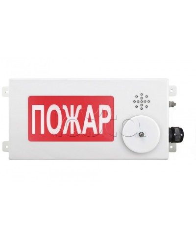 Табло светозвуковое взрывозащищенное Спектрон ТСЗВ-Exi-М-Прометей-МИНИ 12-36В в Москве Оповещатели Ex Pintop.ru