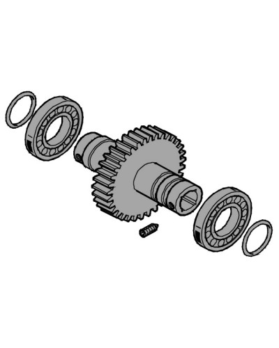 Вал выходной EMEGA Came 119RIE062 в Москве Запчасти для шлагбаумов и автоматики Pintop.ru