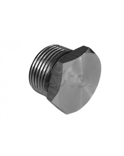 Металлическая резьбовая заглушка взрывозащищённая Магнито-контакт Ех-заглушка ВЗ 1 М Н (под Ø 20) 1Ex d IIС Gb/PB Ex d I Mb или Ex tb IIIС Db или 0Ex ia IIC Ga или 1Ex e IIС Gb в Москве Дополнительное оборудование (Ex) Pintop.ru