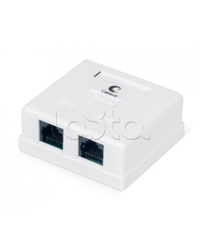 Розетка компьютерная RJ-45, категория 5e, двойная, внешняя, Dual IDC Cabeus WS-8P8C-Cat.5e-2 в Москве Розетки компьютерные и телефонные Pintop.ru