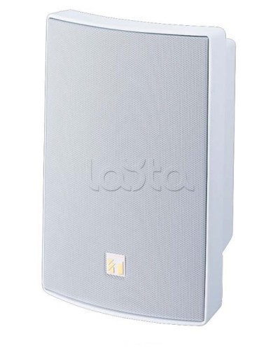 Громкоговоритель универсальный двухполосный TOA BS-1030W в Москве Системы оповещения и трансляции TOA Pintop.ru