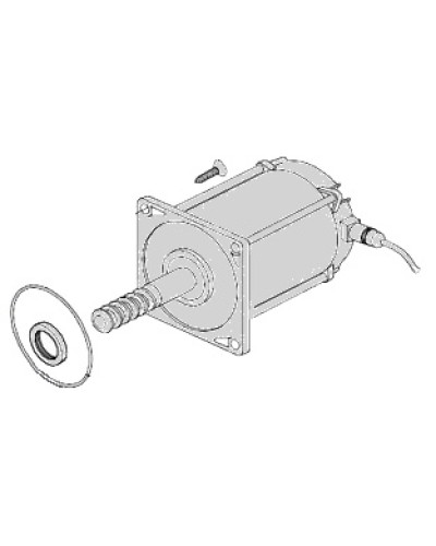 Электродвигатель Came 119RIA025 в Москве Запчасти для шлагбаумов и автоматики Pintop.ru